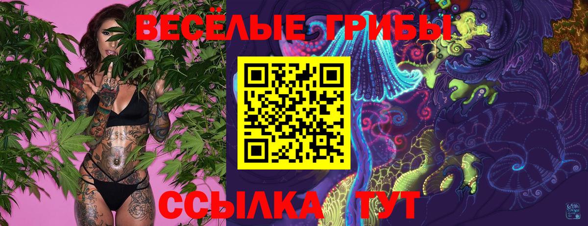 Киров  где продают   Галлюциногенные грибы Cubensis  Вход с VPN  Псилоцибиновые грибы прущие грибы 